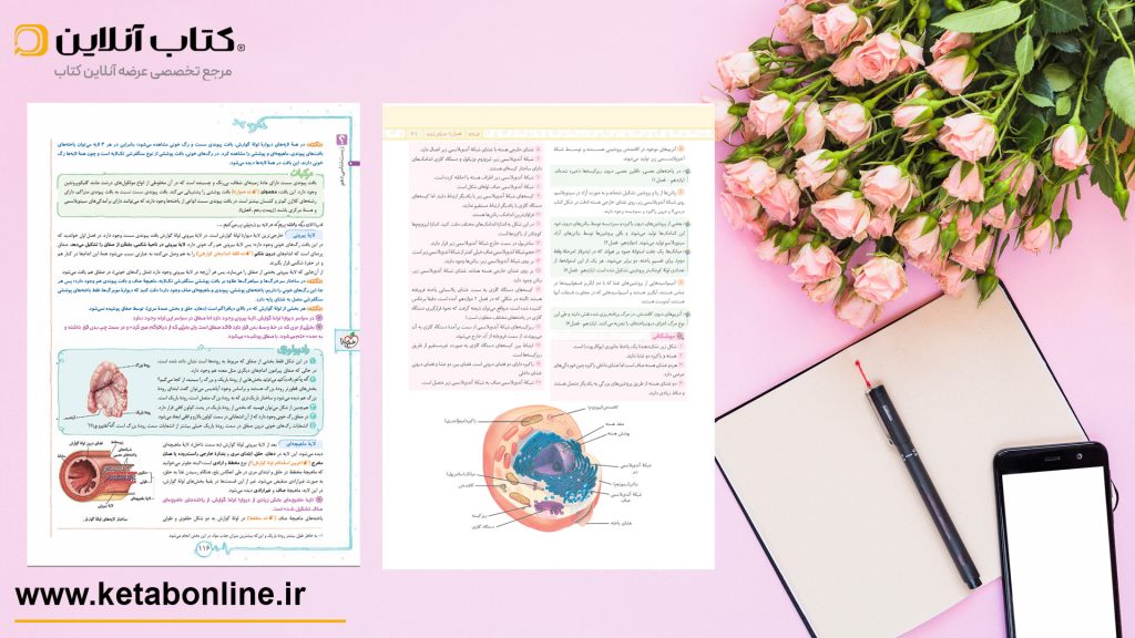 مقایسه درسنامه گاج و خیلی سبز
