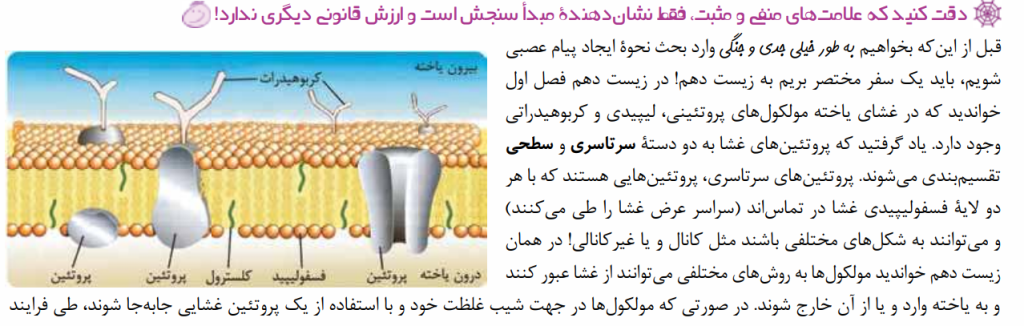 سفری به زیست دهم