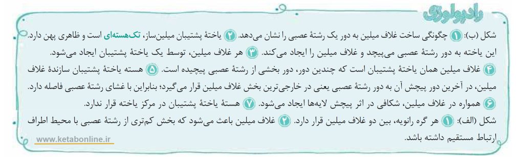 رادیولوژی