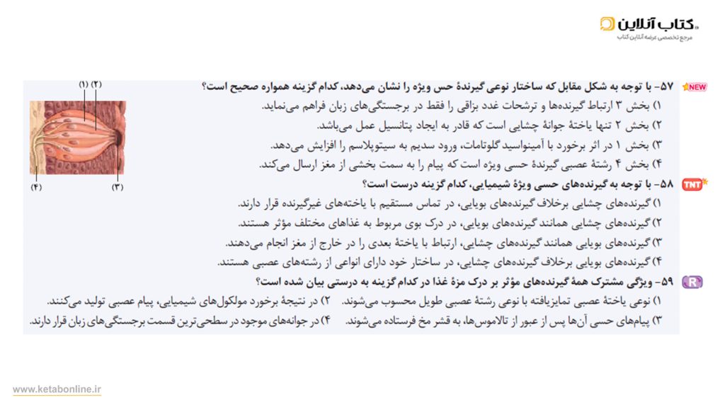 سوال سری غنی شده
