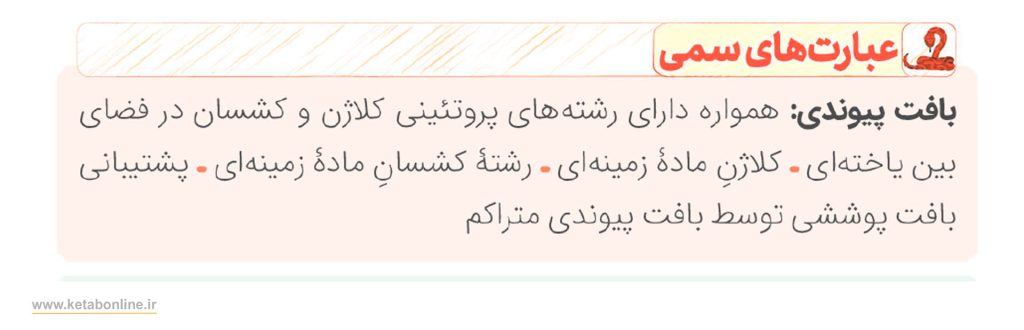 عبارت های سمی درس زیست شناسی جلد سوم