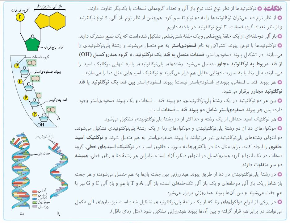 نکات کتاب زیست خجامع خیلی سبز