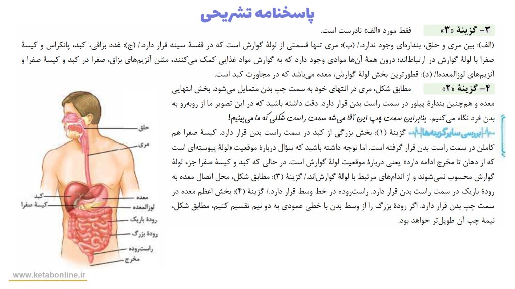 پاسخنامه تشریحی زیست دهم خیلی سبز