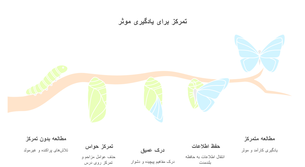 infograph تمرکز برای یادگیری