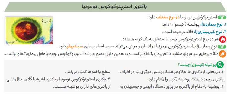 درسنامه