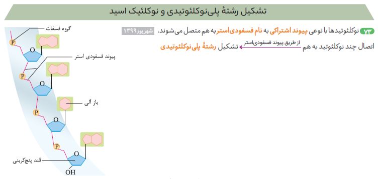شکل